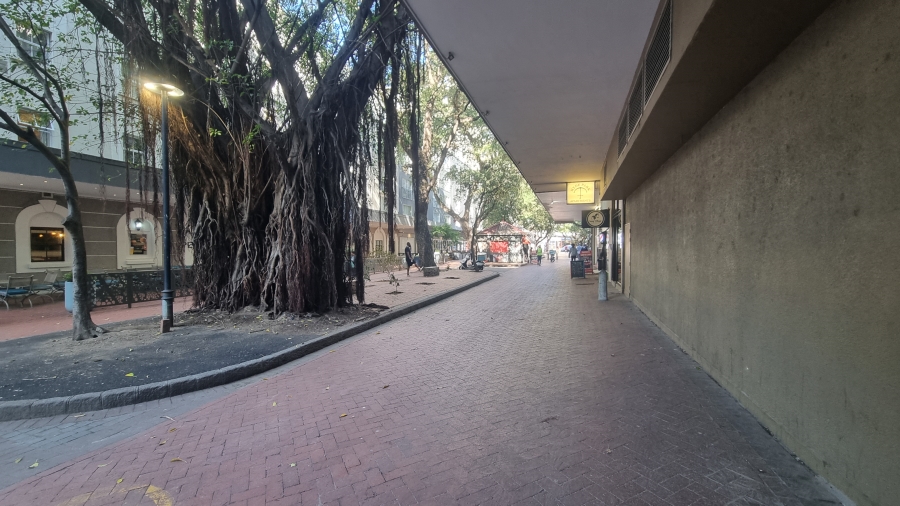 To Let Commercial Property for Rent in Cape Town City Centre Western Cape
